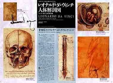 Davinci